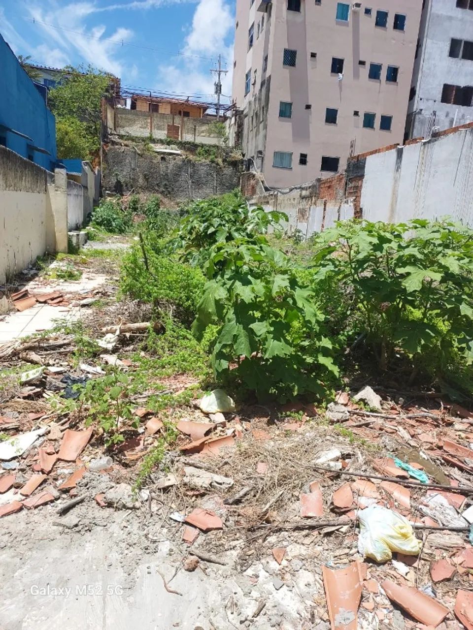 VENDO TERRENO - RUA DA ILHA - Foto 4