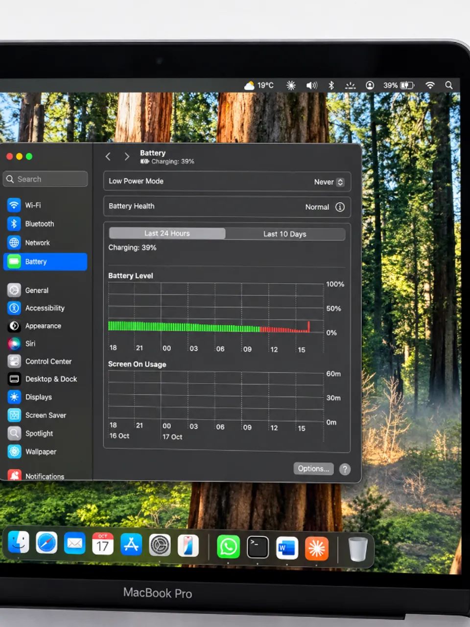 Macbook Pro (2019) - Foto 4