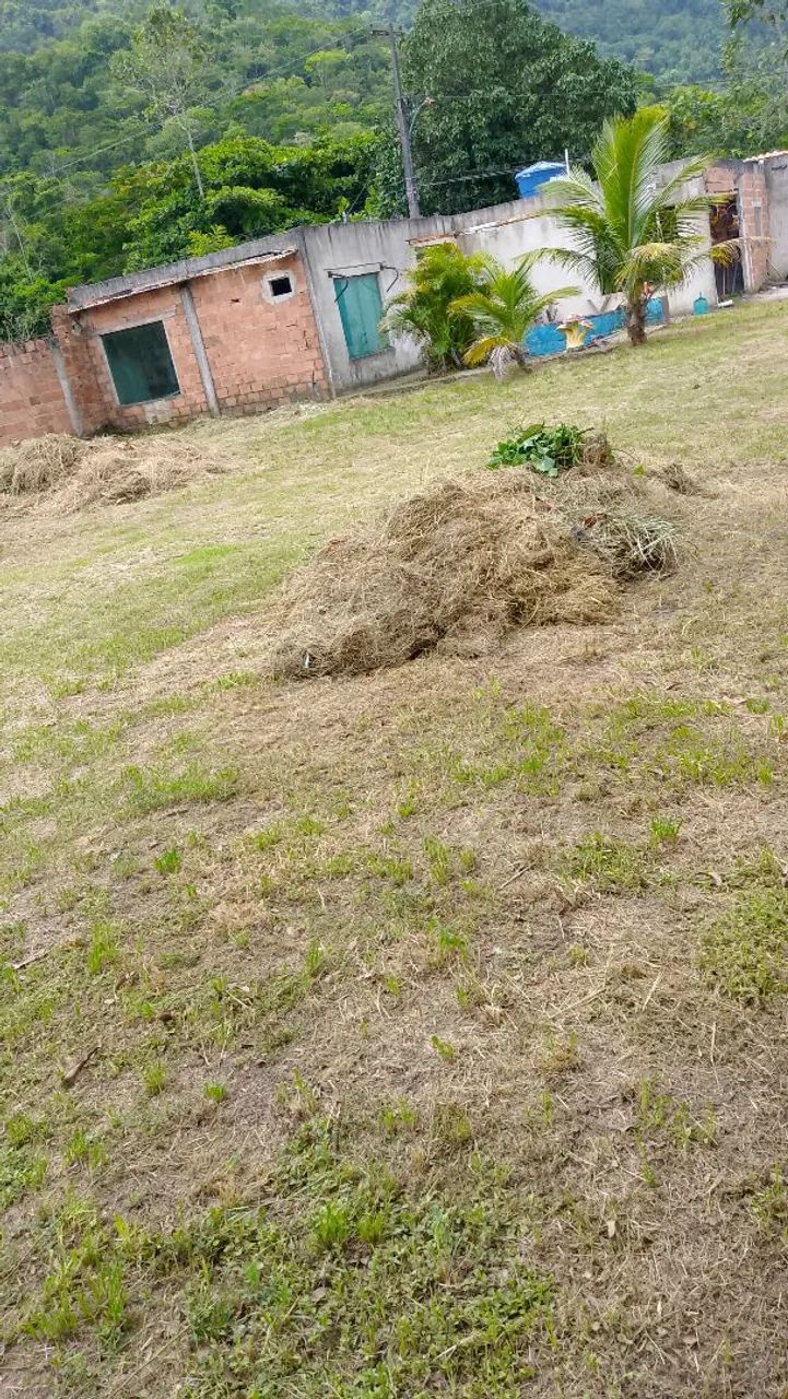 Trabalho de roçadas  .  - Foto 2