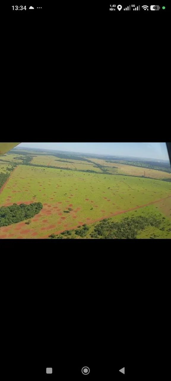 Fazenda de arrendamento 1.000 hec Nova Alvorada MS.  - Foto 3