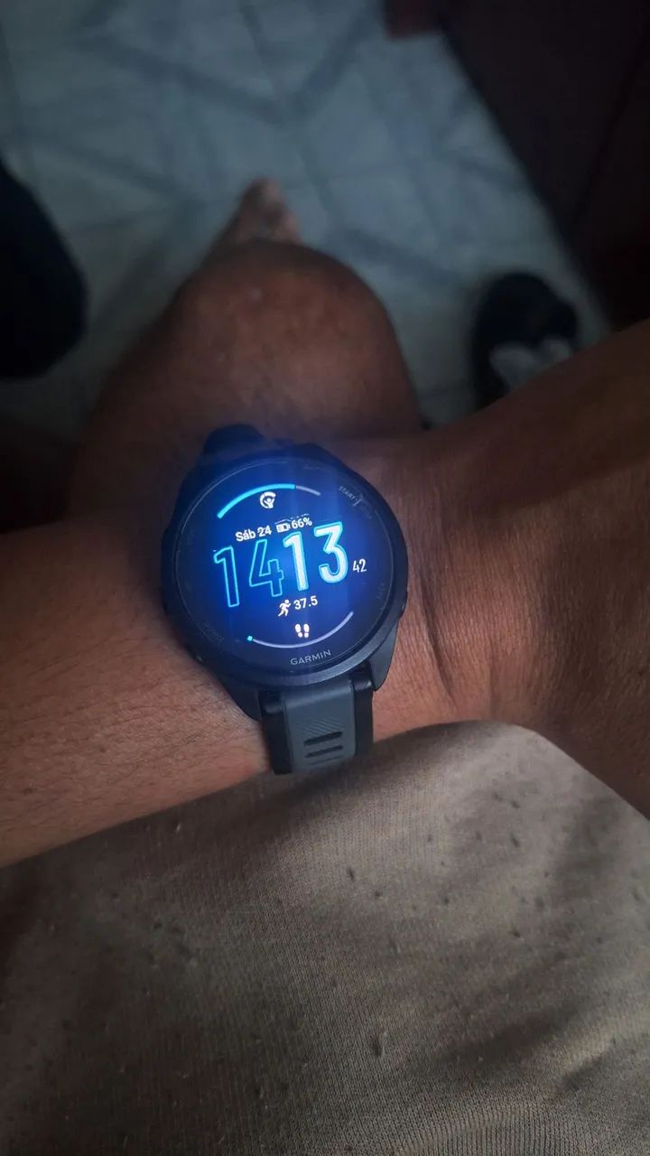 Garmin 165