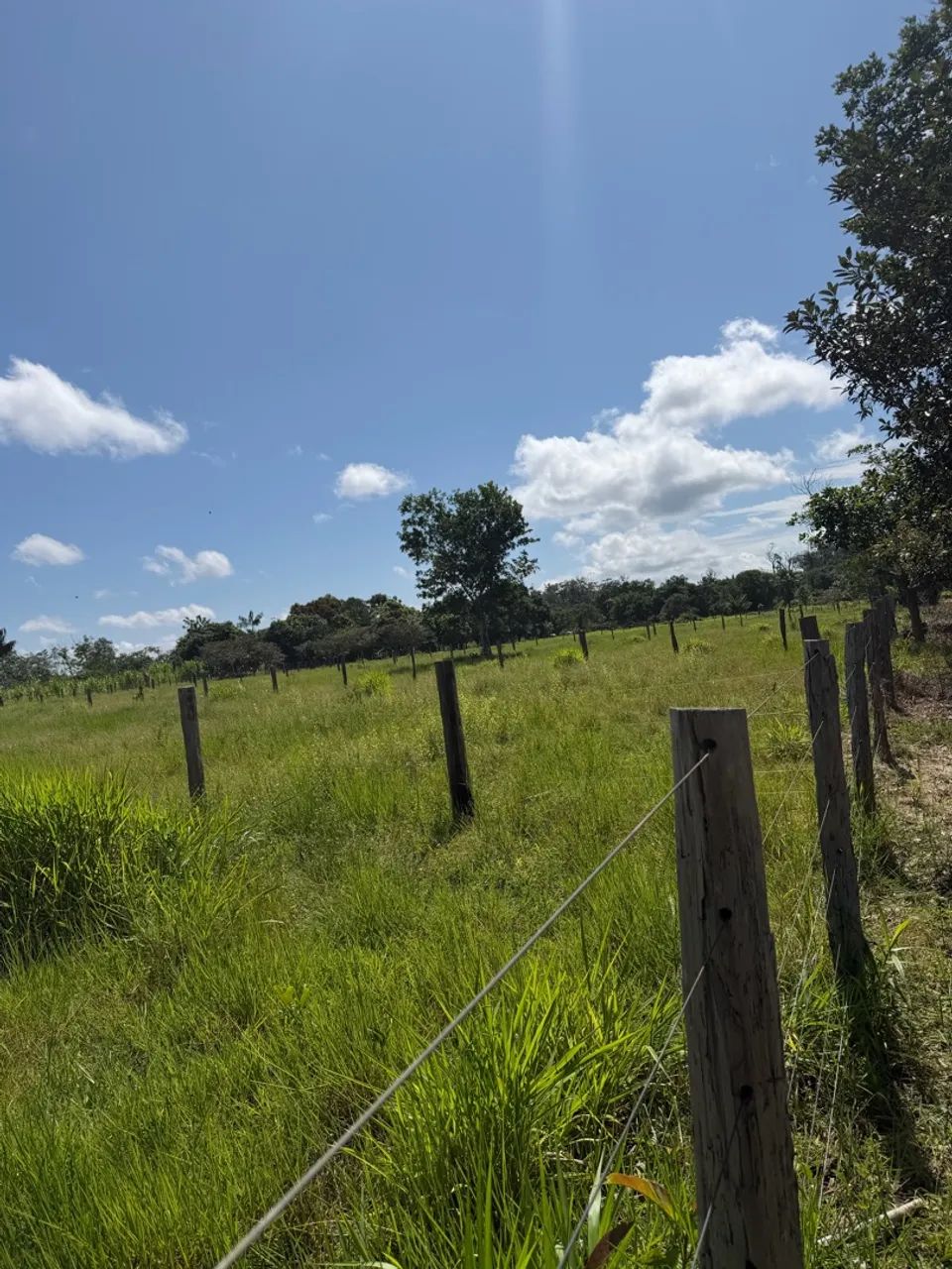 fazendinha barato no Cantá  - Foto 2