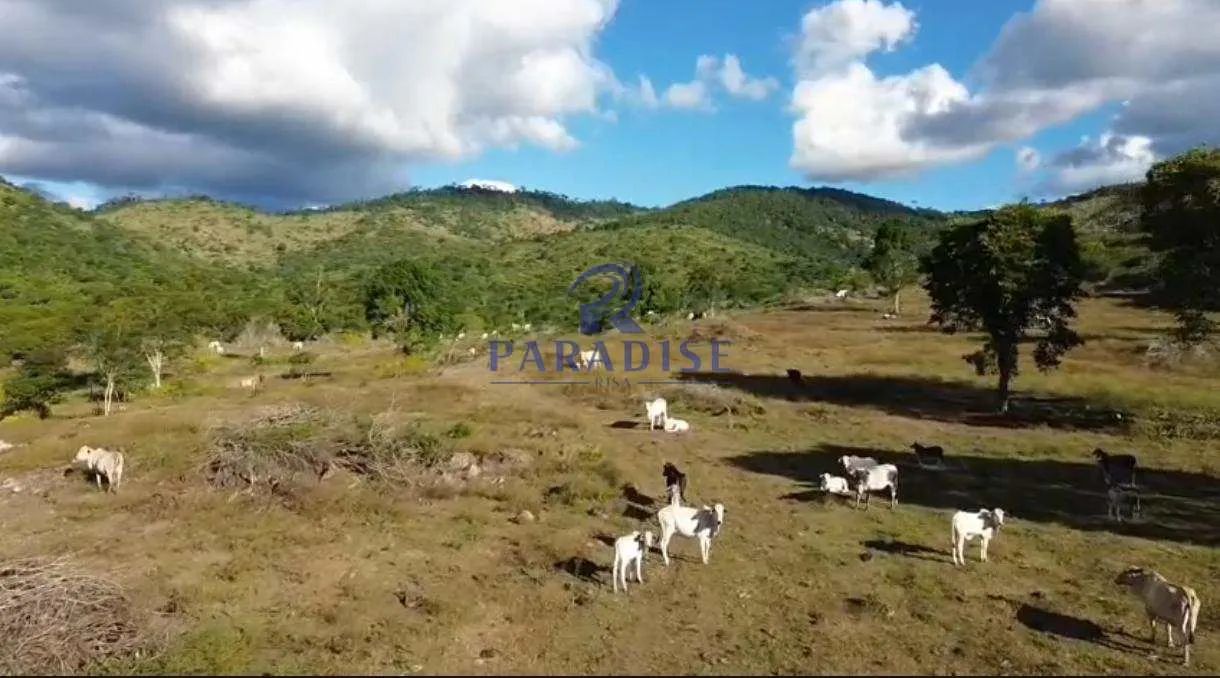 Fazenda, Centro, Itapé - R$ 15.4 mi, Cod: 69029 - Foto 5