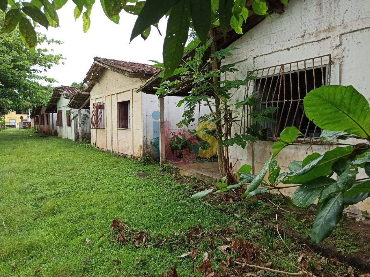 Vendo Área na Ponta do Ramo - Foto 2