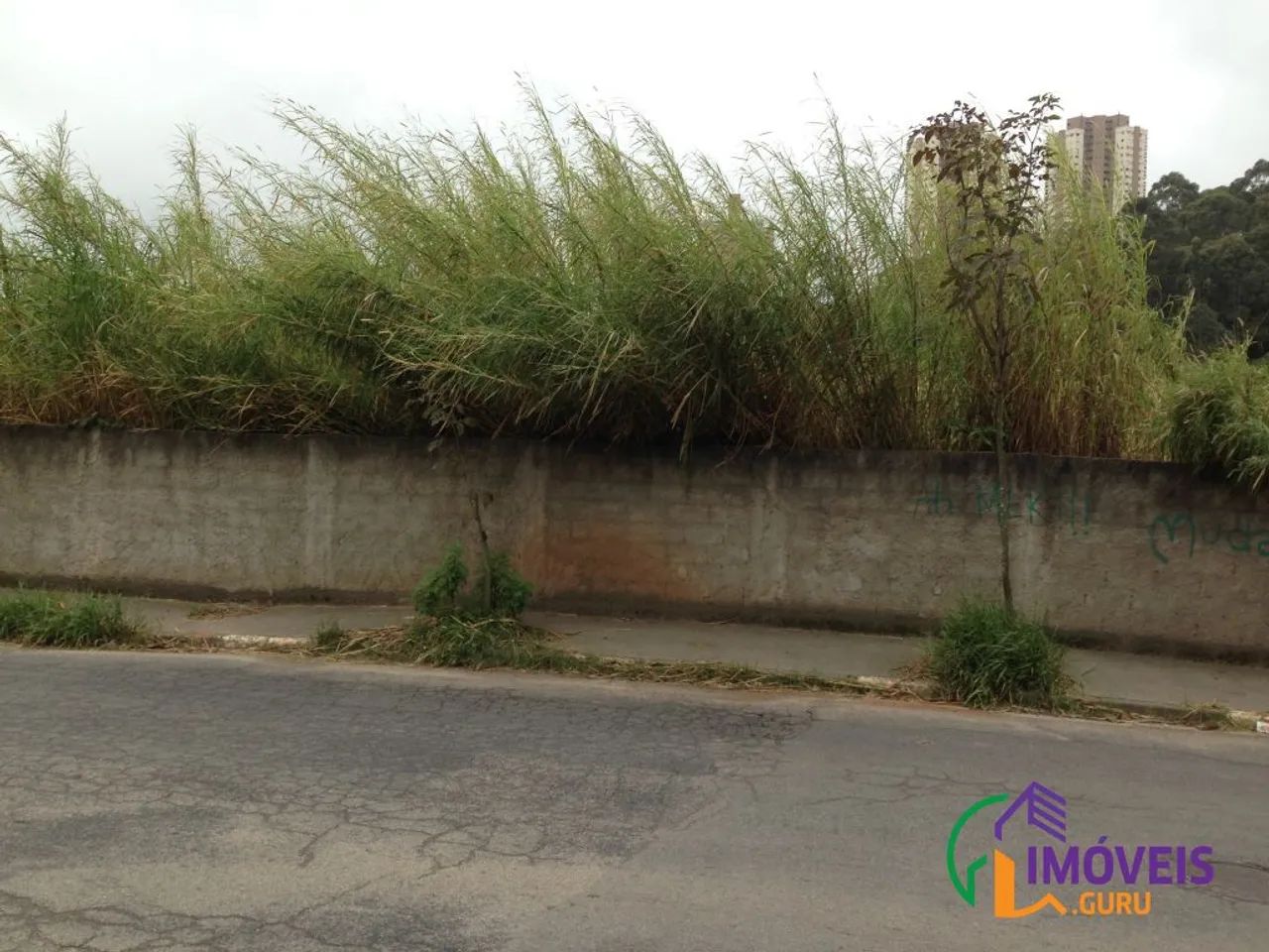 TERRENO - MORUMBI - SP - Foto 2
