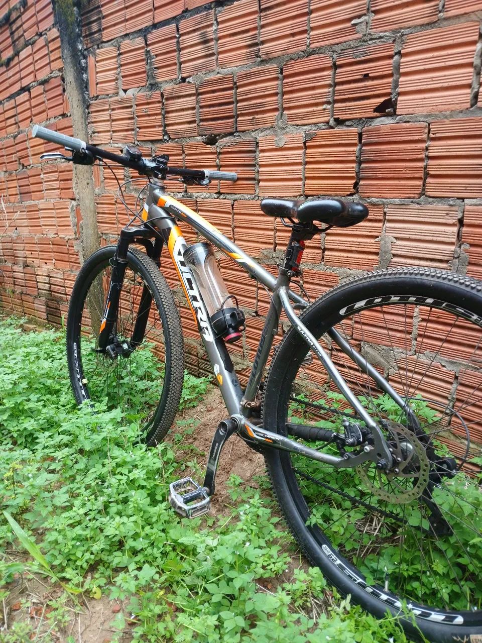 Lotus 29 perfect 