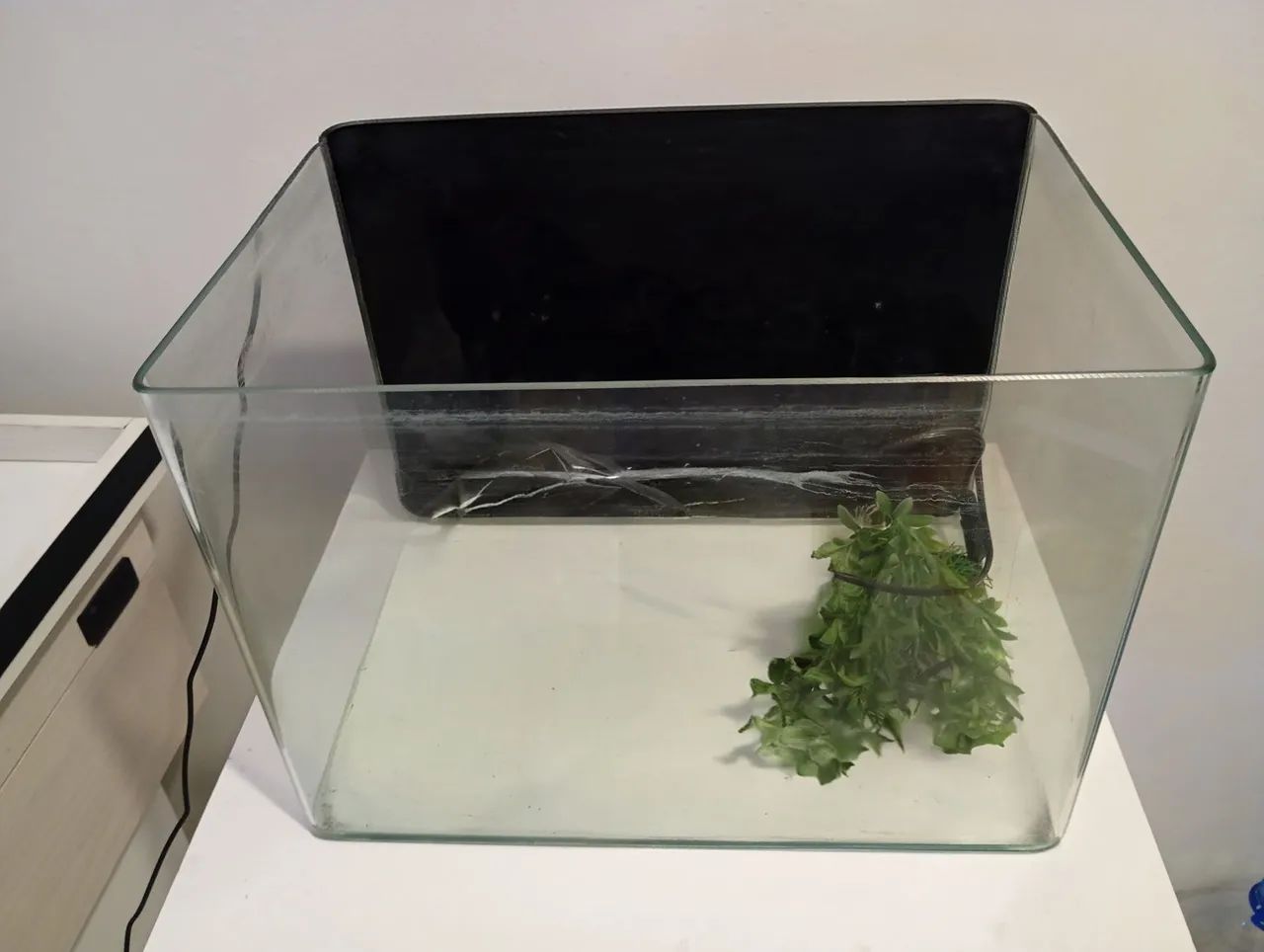 Aquário abaulado 40 L (com riscos )