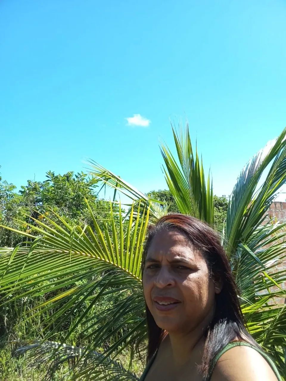 Vende-se este terreno em barra do Jacuipe.