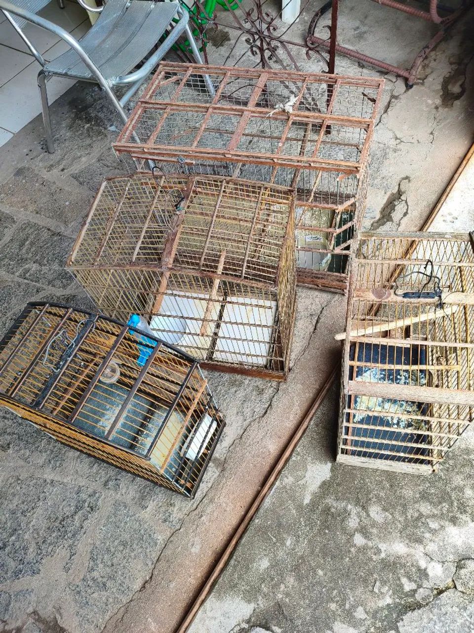 Gaiolas para Passarinhos 
