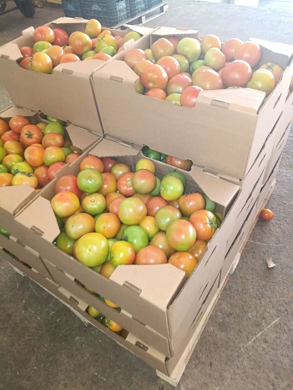 Caixa de tomate direto do produtor cobrimos qualquer orçamento  - Foto 2