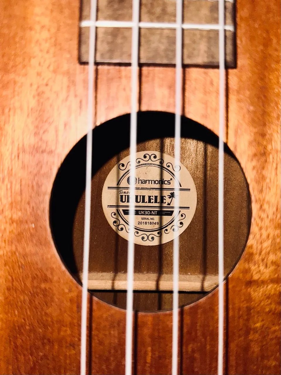 UKULELE HARMONICS - Foto 2