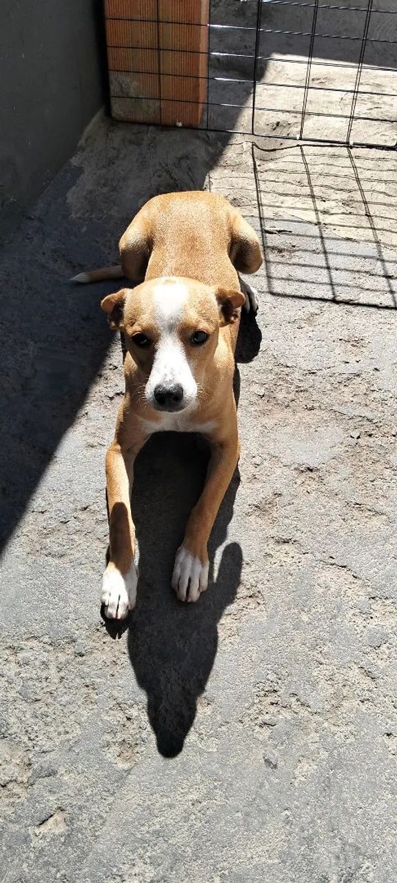 Doação  - Foto 2