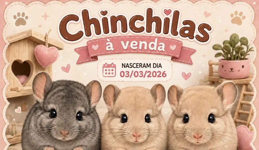 Chichilas  - Foto 3