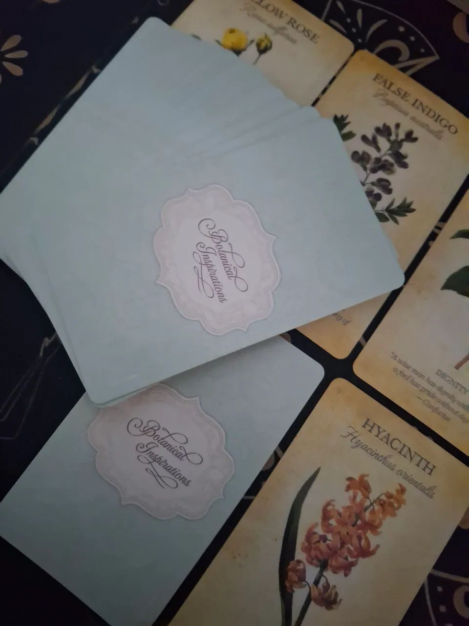 Oráculo Botanical Inspirations Baralho Cigano Tarot Taro - Foto 3