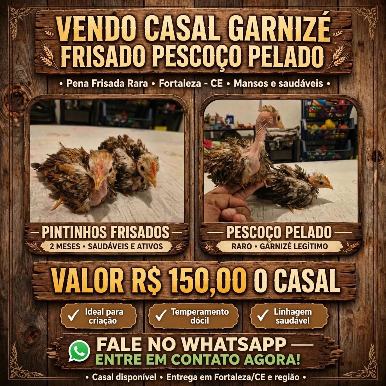 Galinhas garnisés 