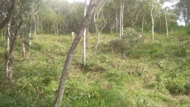 Terreno de 1.494m² no João Paulo - Foto 2
