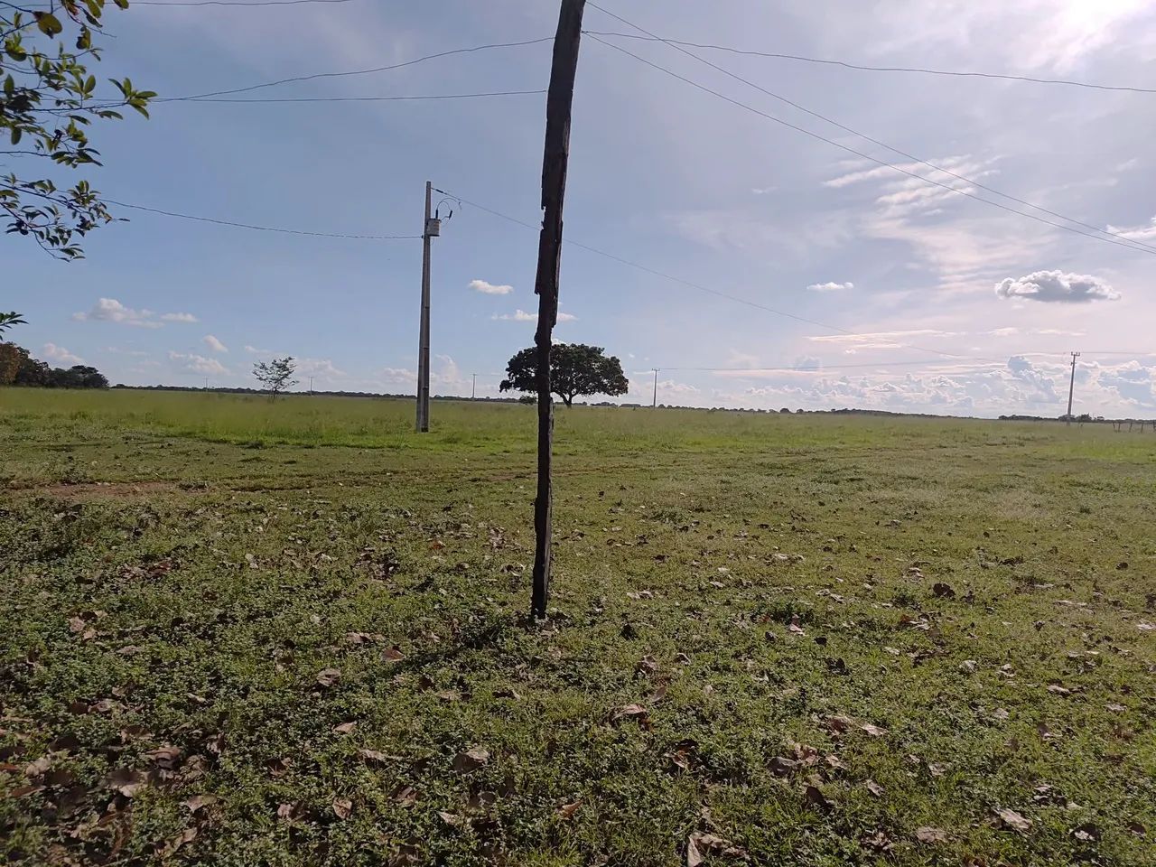 Fazenda á venda Próximo a Gurupi  - Foto 5