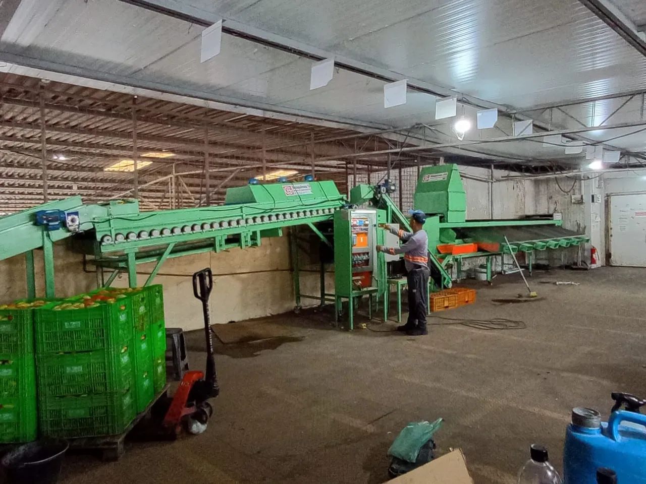 Máquina classificadora de tomate - Foto 5