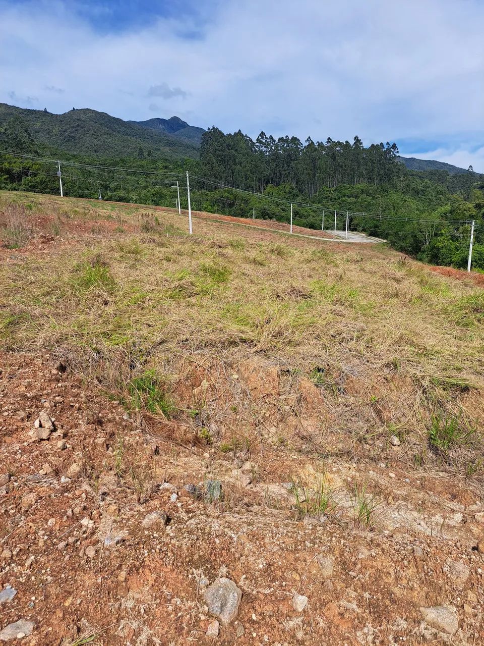 Roço lotes residências e industriais Florianópolis e região  - Foto 3