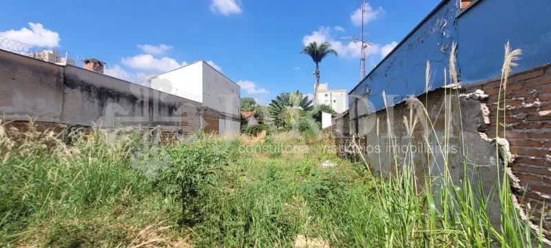 TERRENO | CENTENÁRIO - Foto 3
