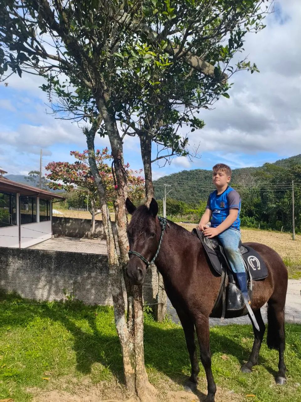 Petiça de confiança  - Foto 4