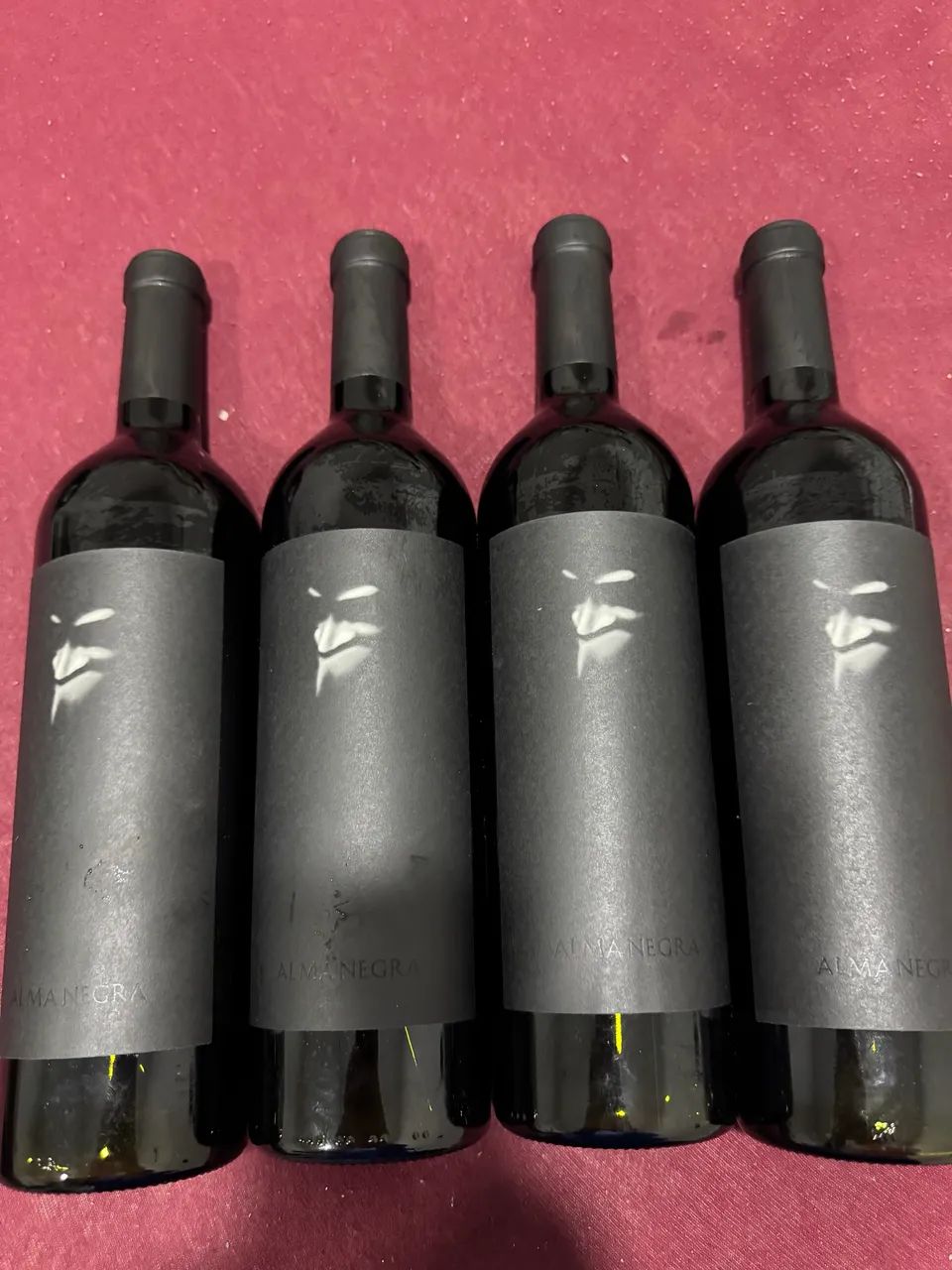 Vinhos argentinos 