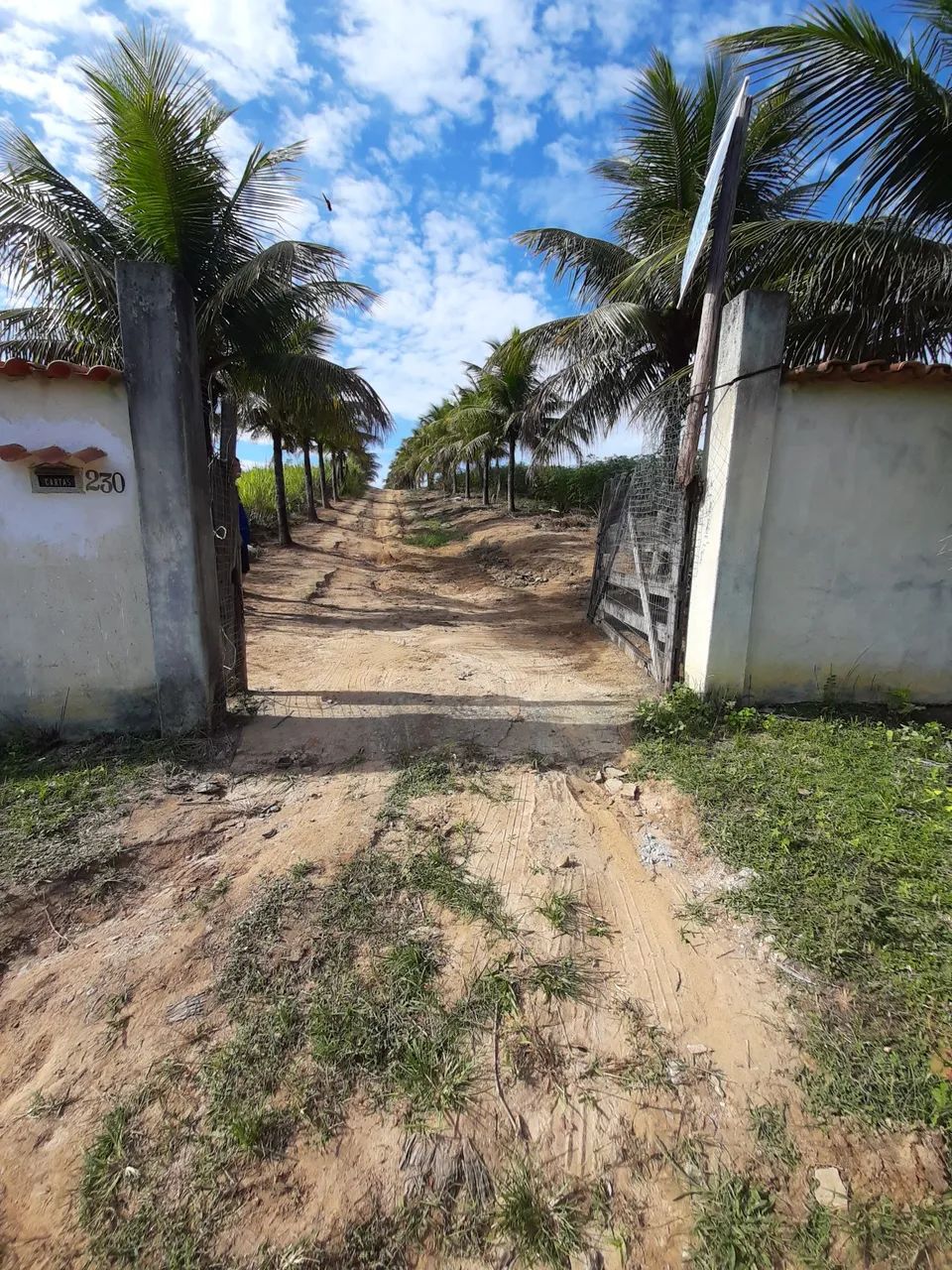 VENDO SÍTIO - CAMPO ALEGRE, NOVA IGUAÇU - Aceito propostas <br> - Foto 2
