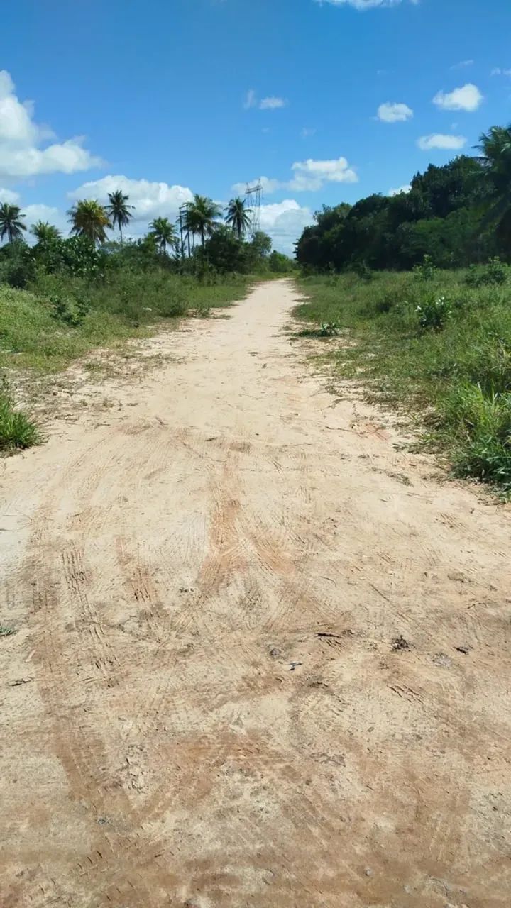 TERRENOS EM ALAGOINHAS/BAHIA - Foto 3