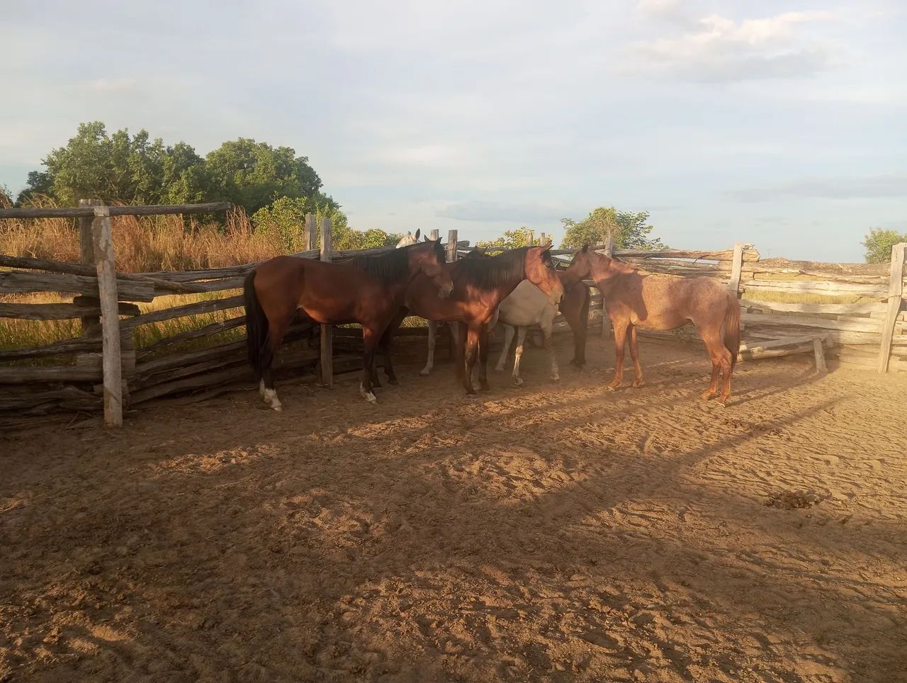 vende se  - Foto 5