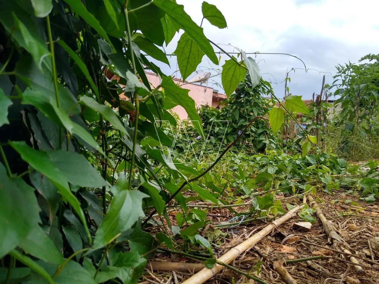 terreno - Sousas - Campinas - Foto 3