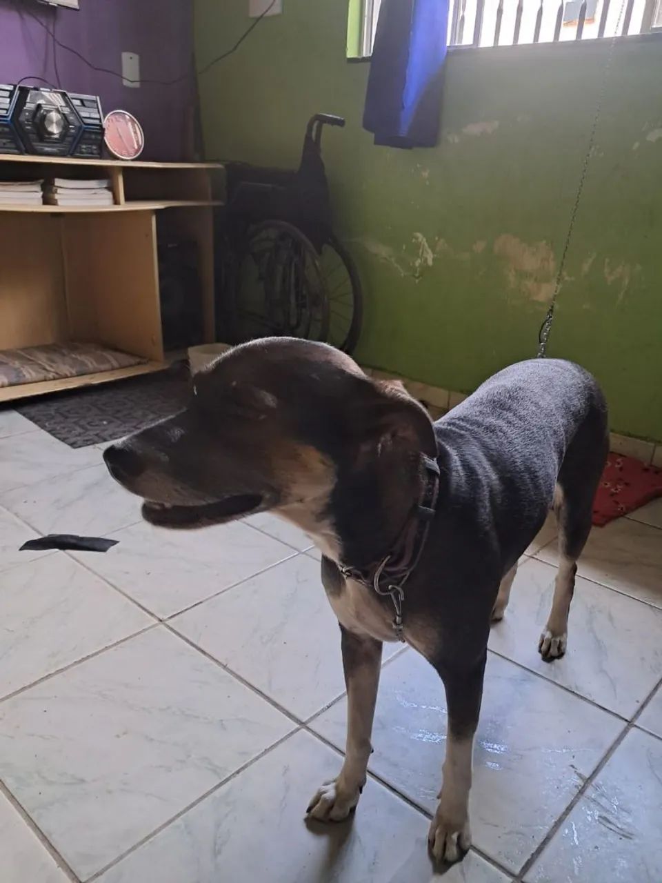 DOAÇÃO - Foto 4