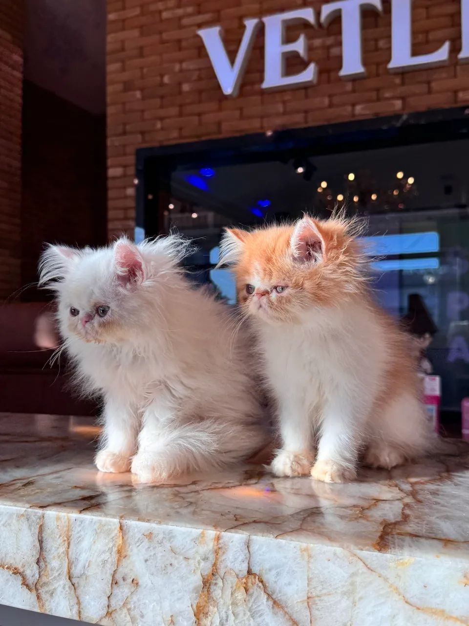 Bonequinhos de luxo