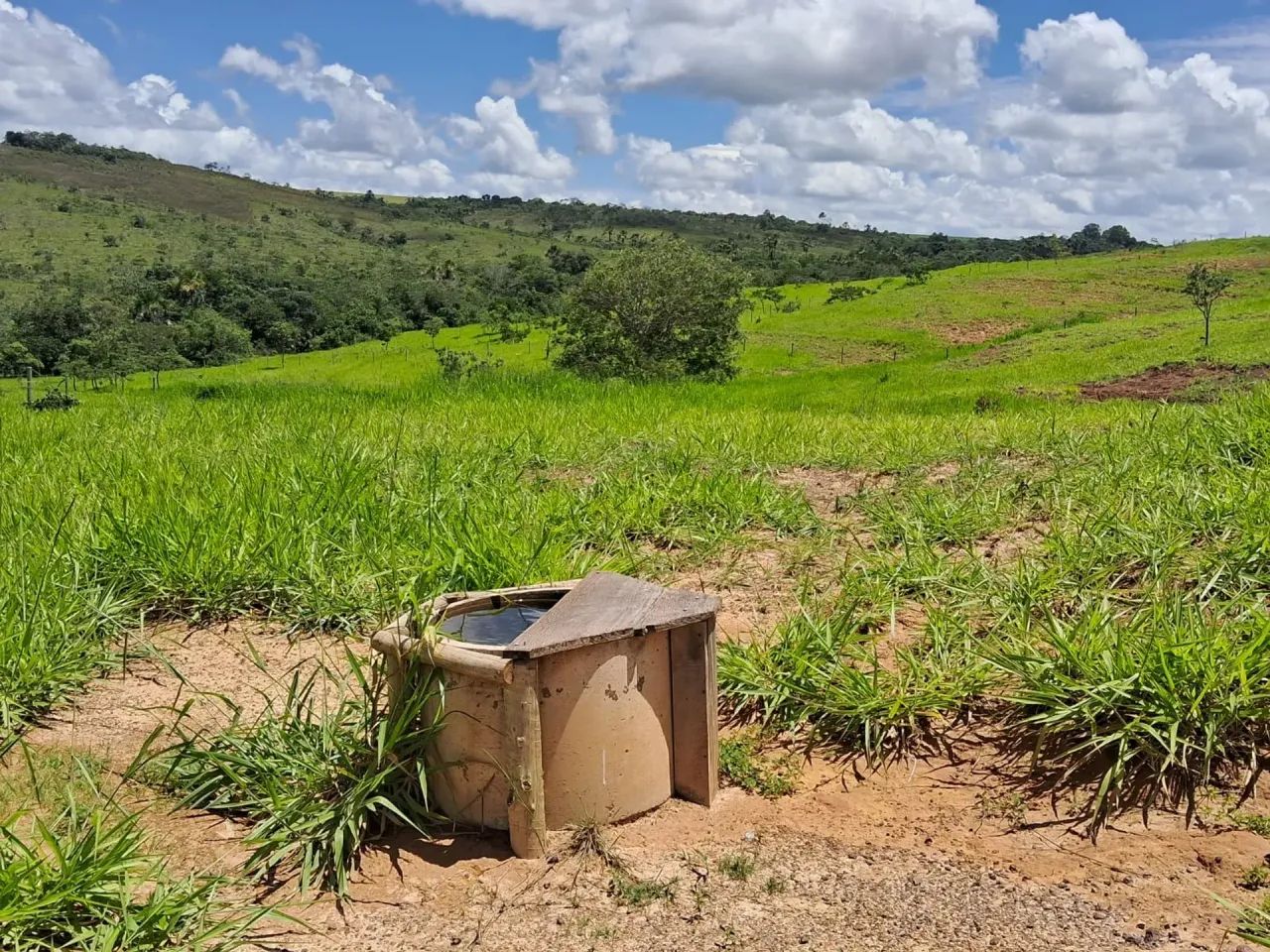 Chácara 20 hectares - com excelente logística - Foto 4