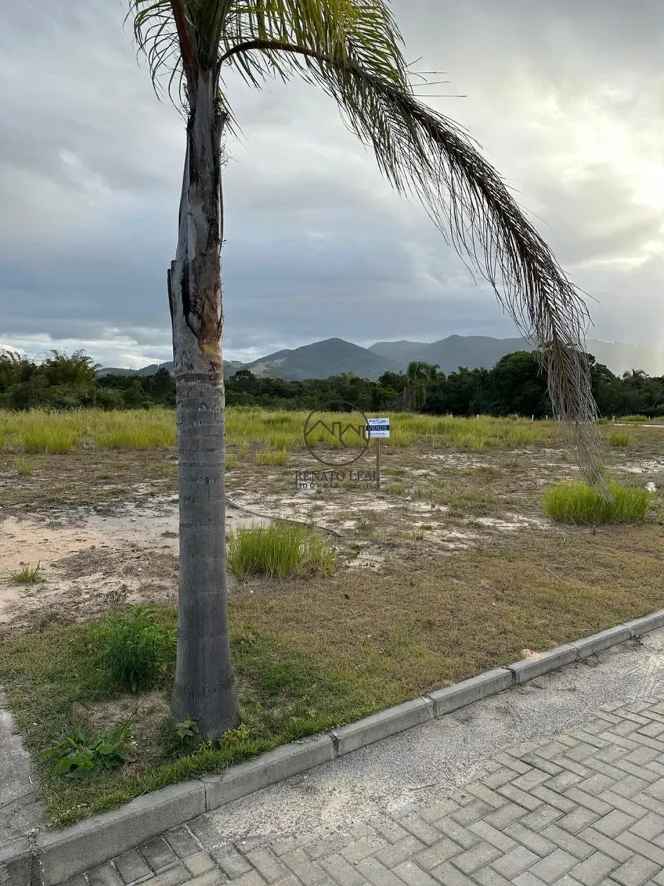 VENDE-SE TERRENO COM MATRÍCULA  CAMPO DUNA | GAROPABA/SC - Foto 5