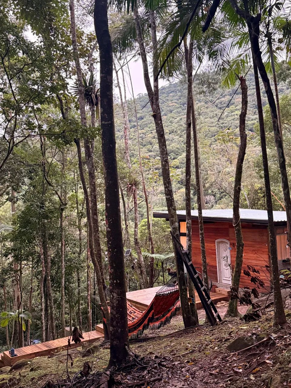 Sítio a venda em itapema !! - Foto 3