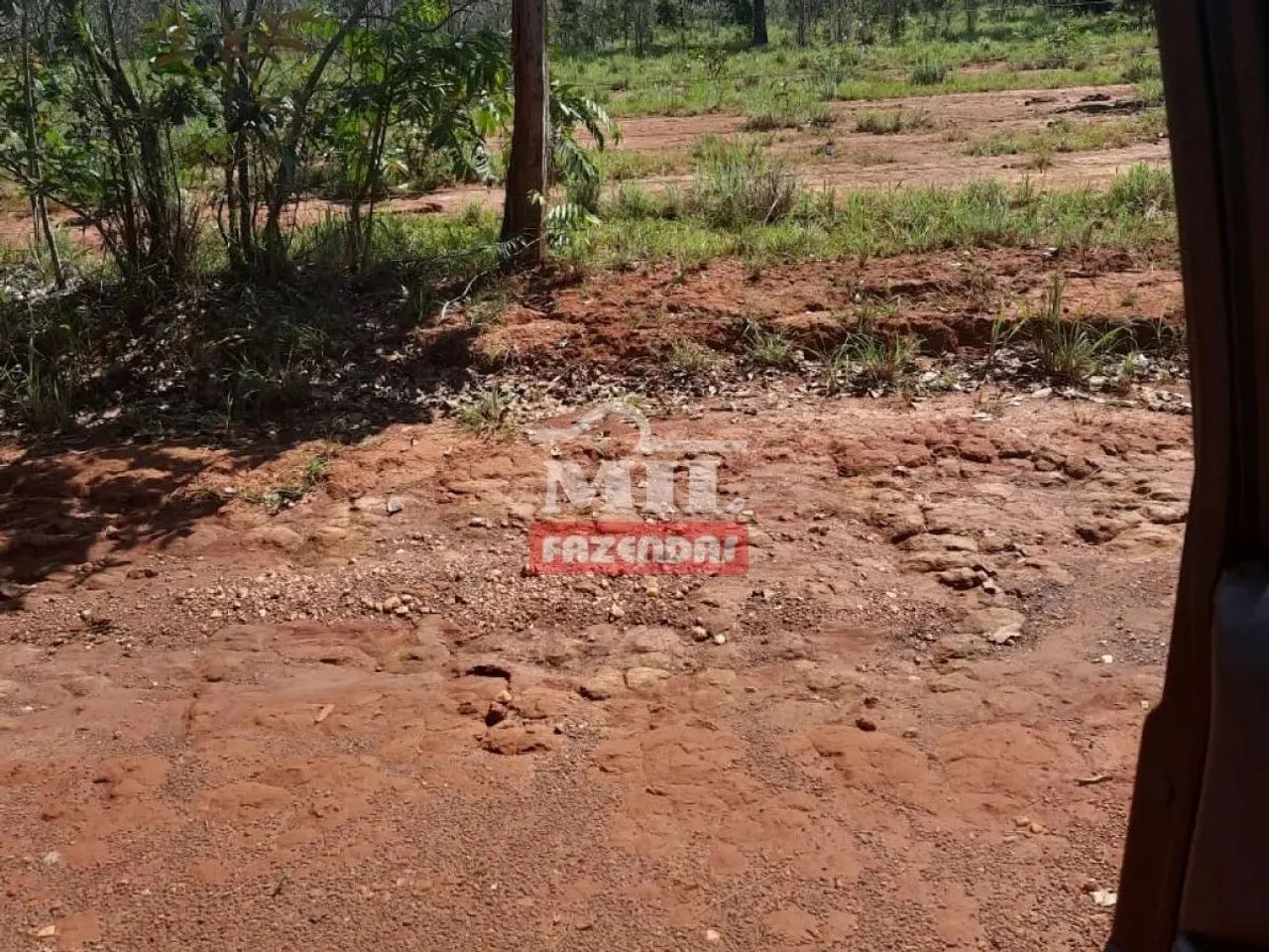 Fazenda 250 Alqueires (1.210 Hectares) Goianorte - GO - Foto 2