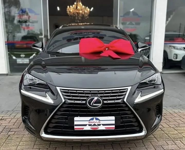 Lexus NX-300 H Luxury 2.5 16V Aut., foto 2 de 11