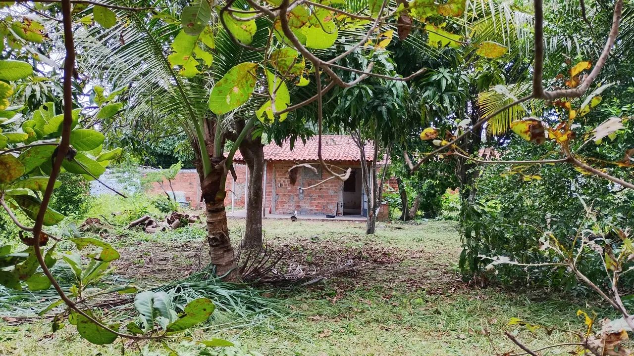 Vendo lotes e terreno  - Foto 5