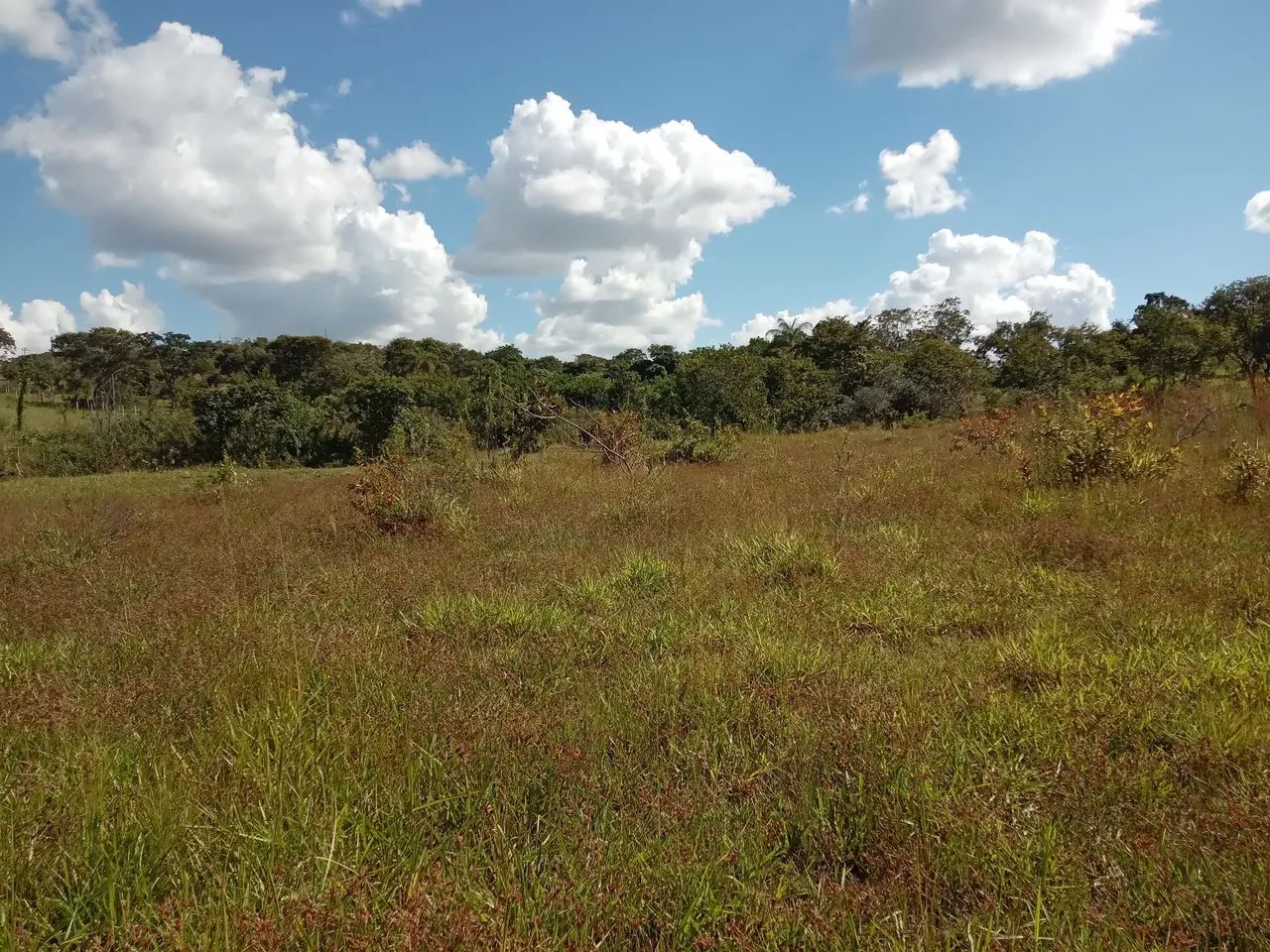 Lote 2000 MTS 5,000 São José de Almeida  - Foto 2