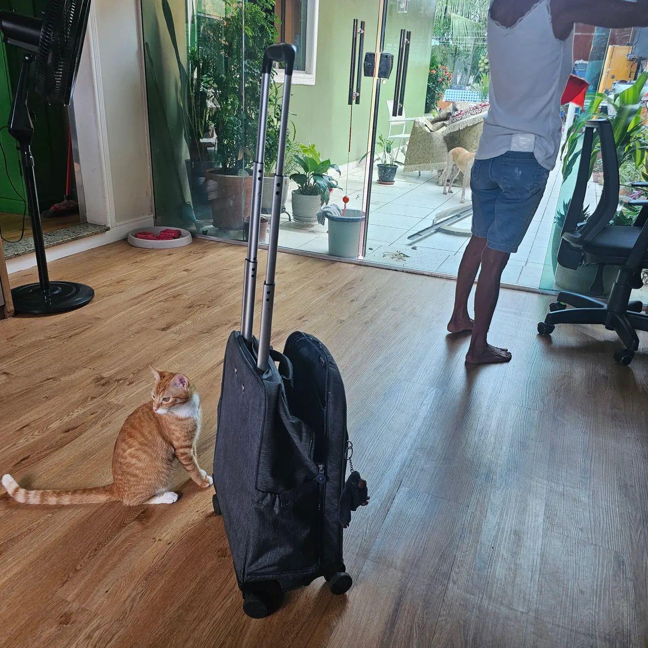 Mochila escolar kipling - Foto 4