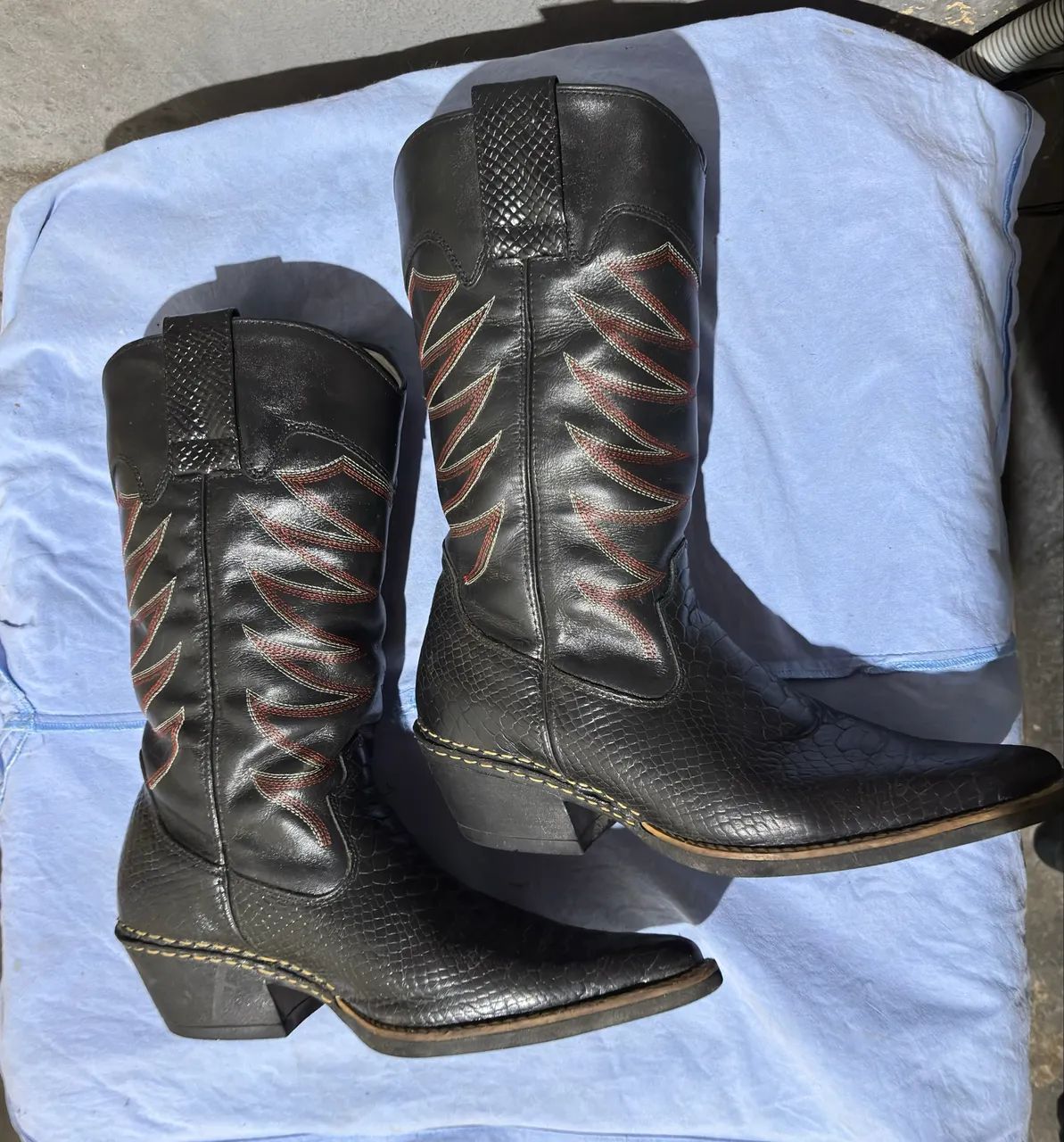 Bota texana 41