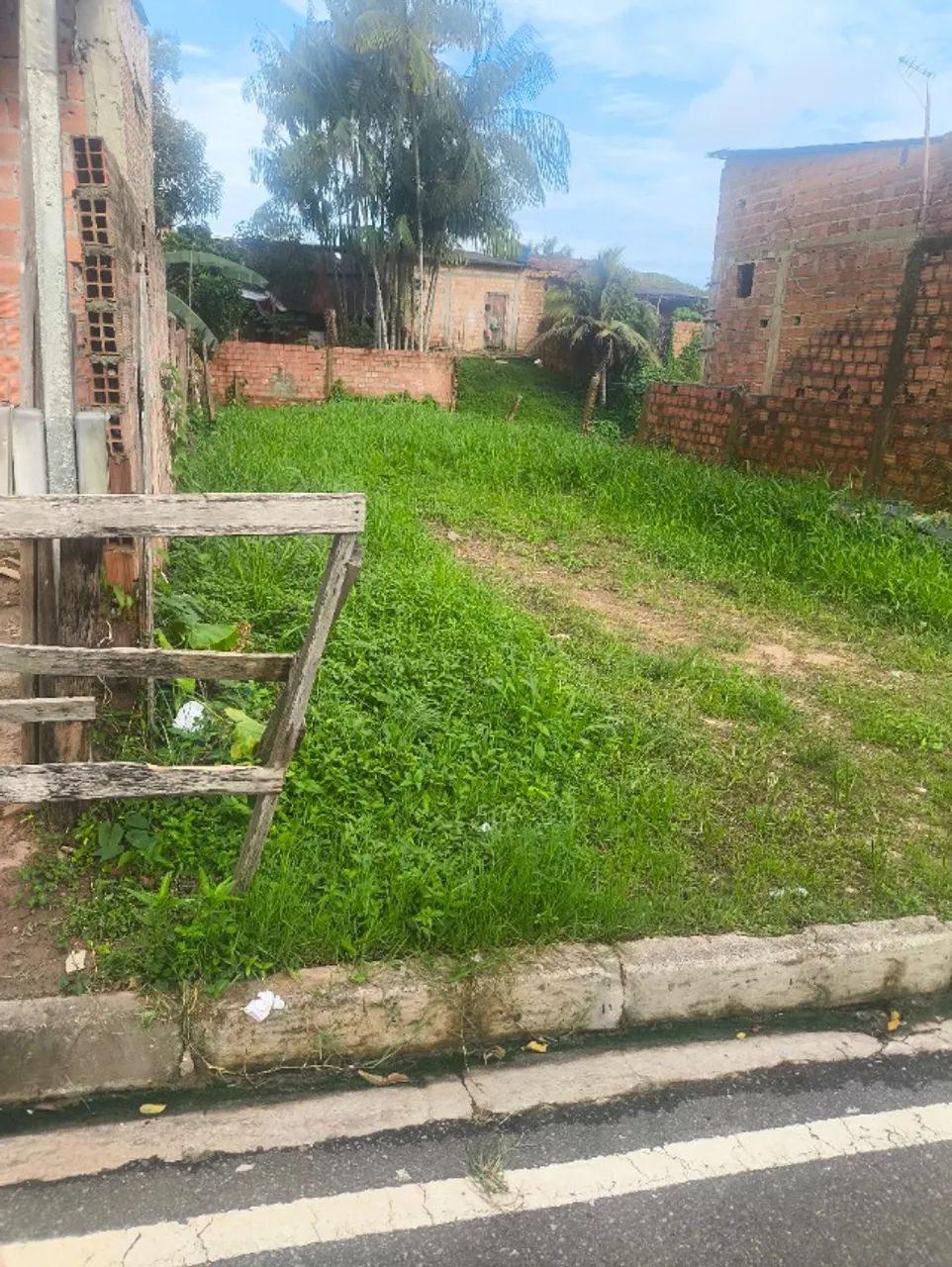 Foto - Ananindeua - Jibóia Branca