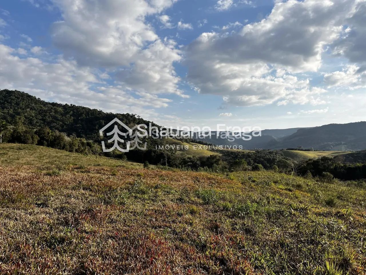 Terreno rural - Foto 3