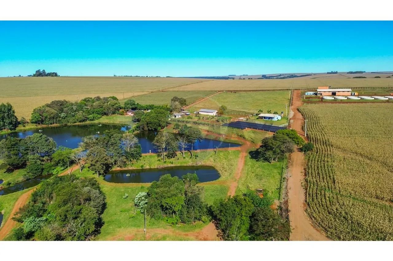 Fazenda Britania - Foto 3