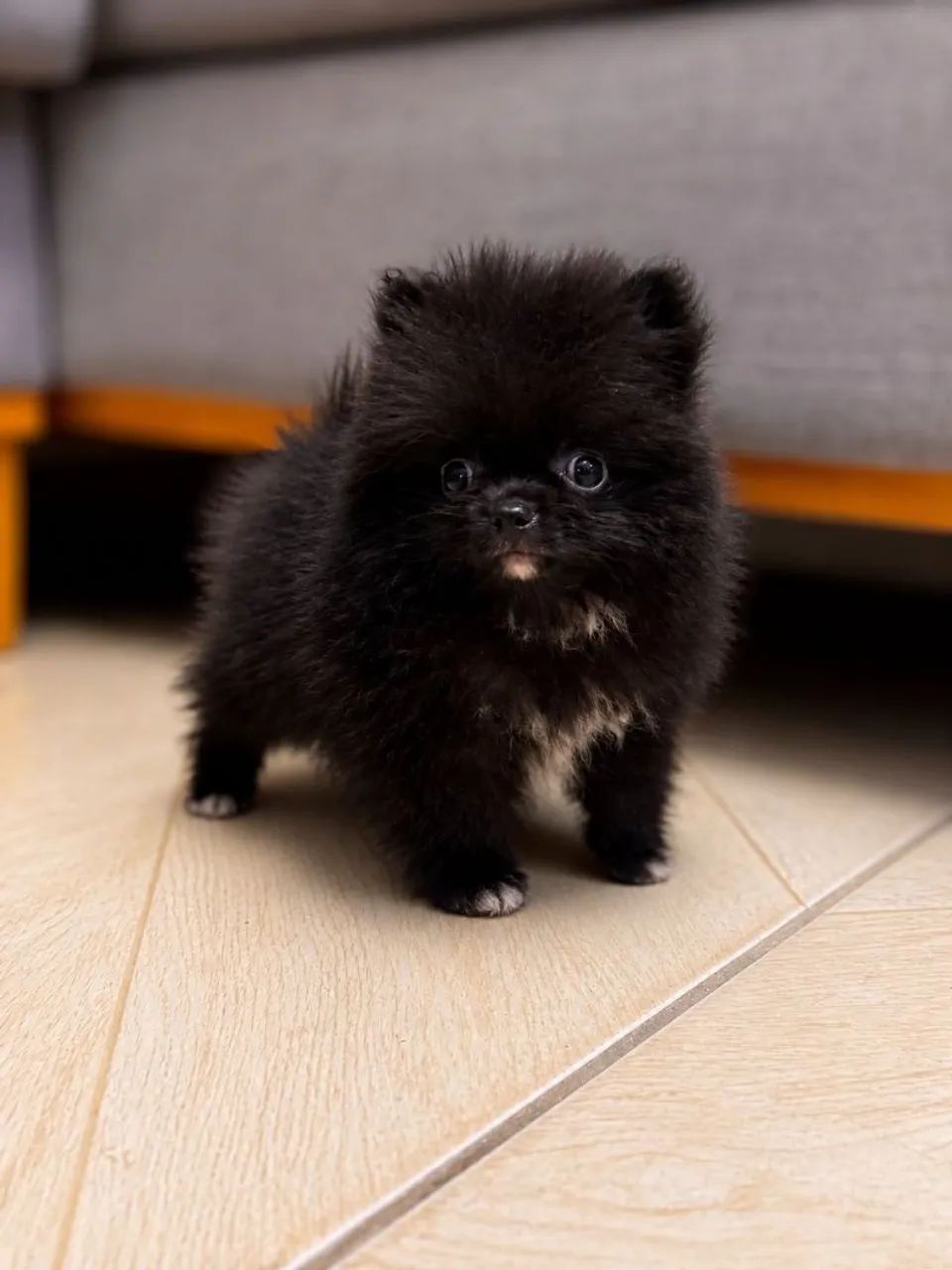 Lulu