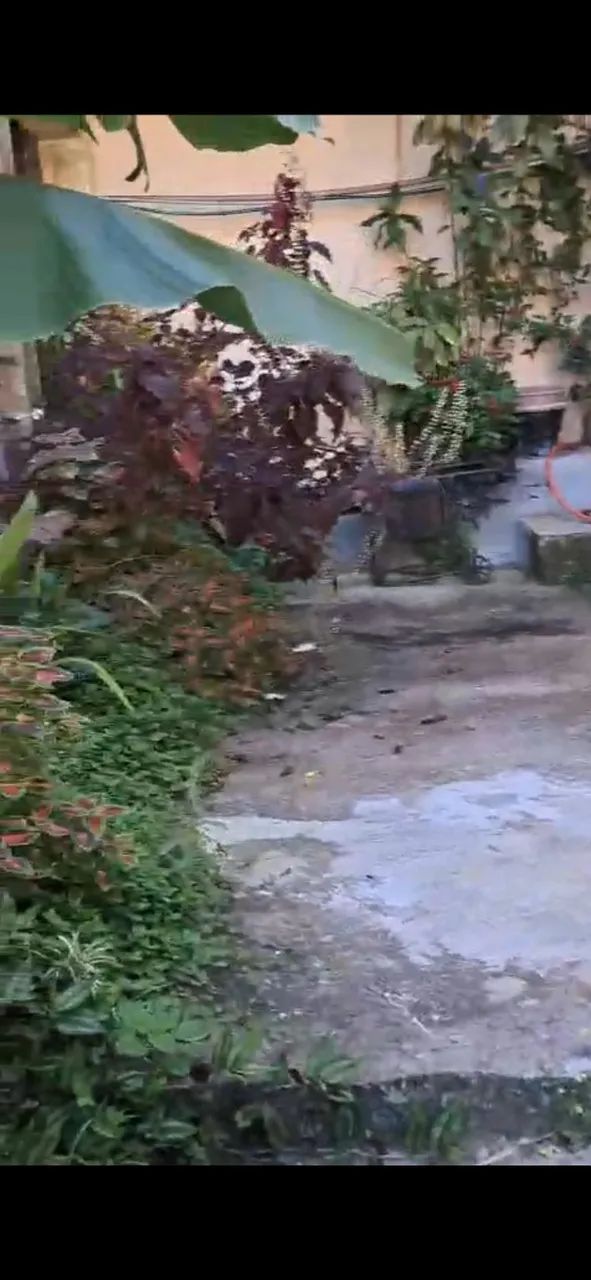 Apartamento 4 quartos Centro - Foto 4