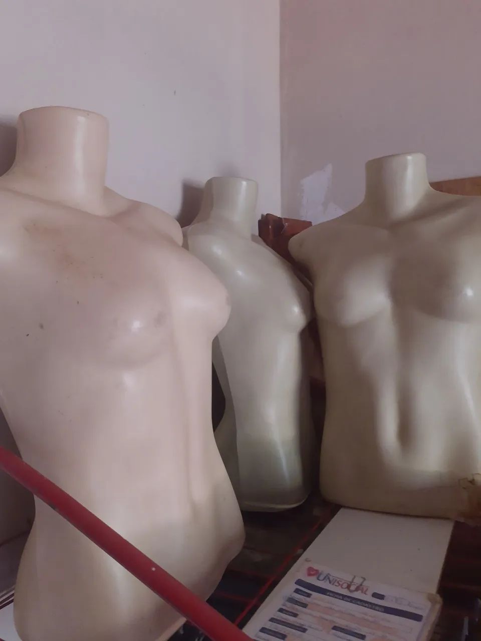 Manequins Masculino e Feminino - Foto 2