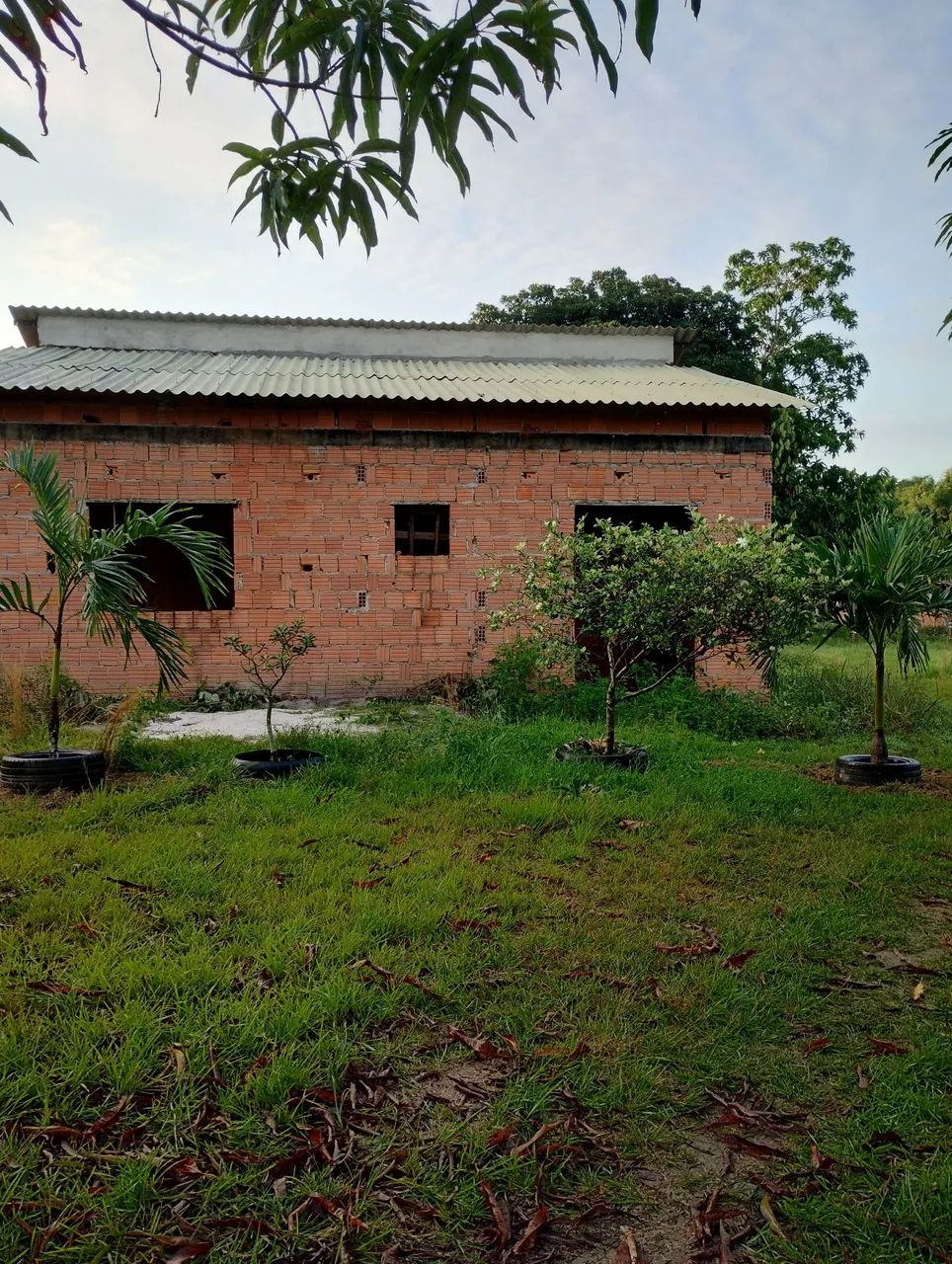 Vendo ou troco lindo sítio - Foto 3