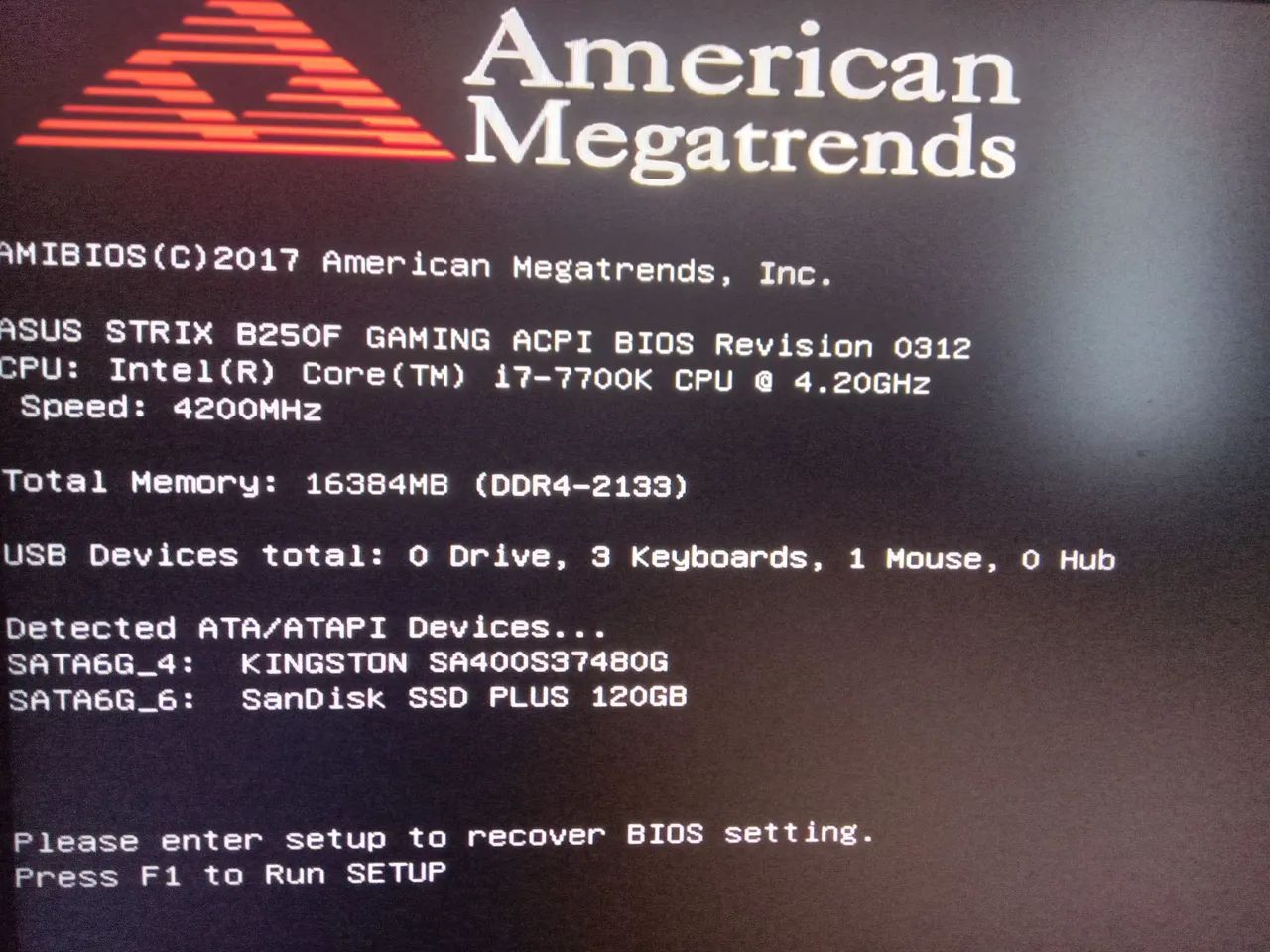 PC gamer