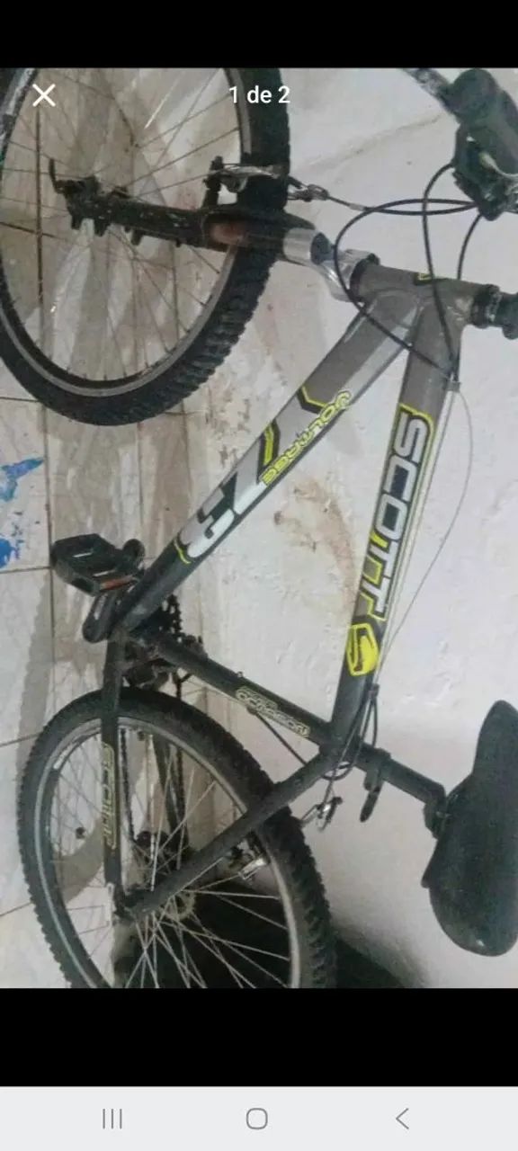 Marca, Scott 